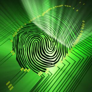 The Rise of Biometric Payments 