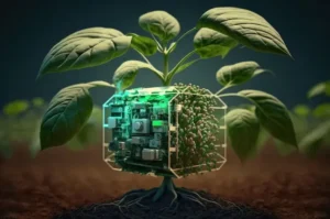 AI for Environmental Sustainability
